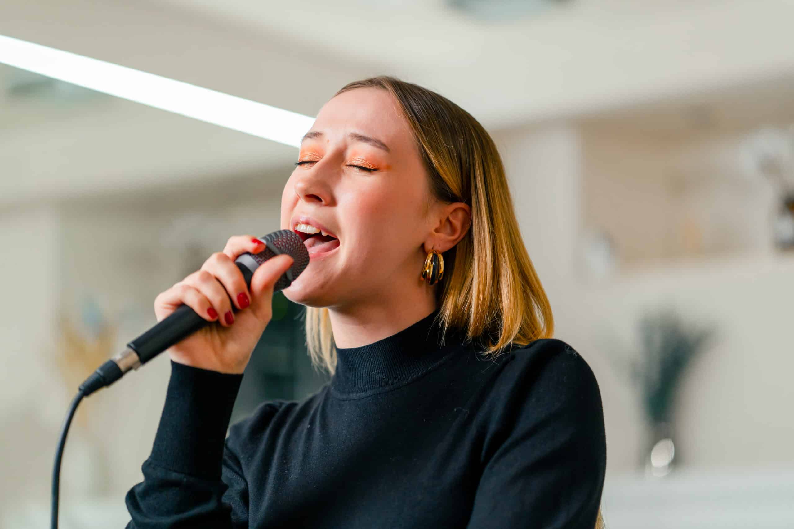 Singers and Karaoke to Set the Mood